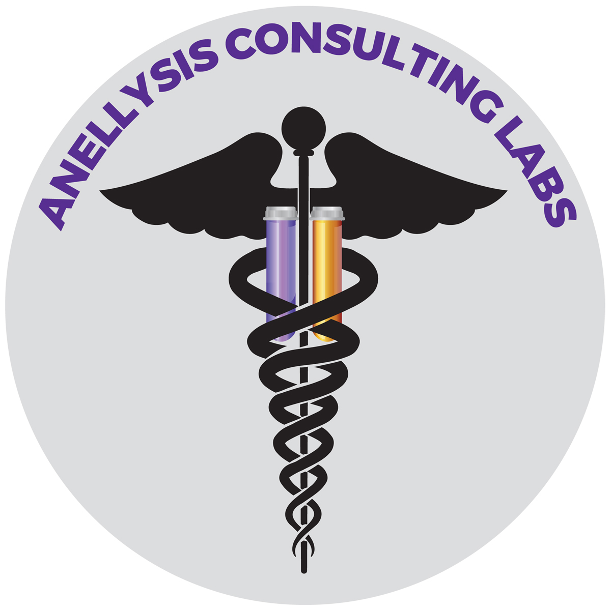 AnellysisCL Logo FINAL